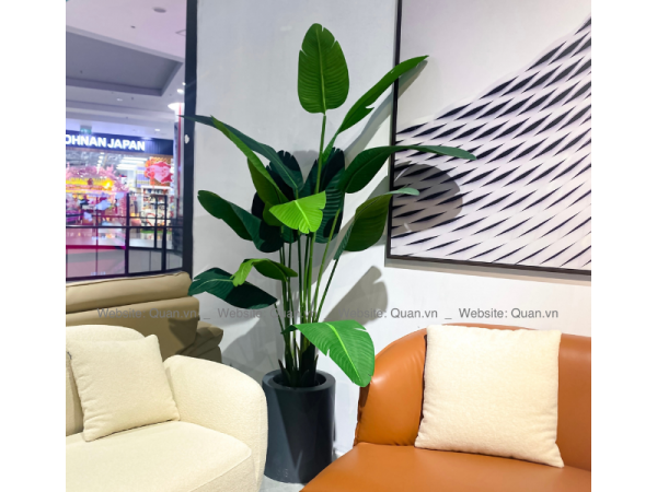 Chậu cây decor - CY00004